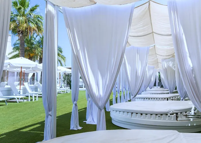 فندق Bianco Riccio